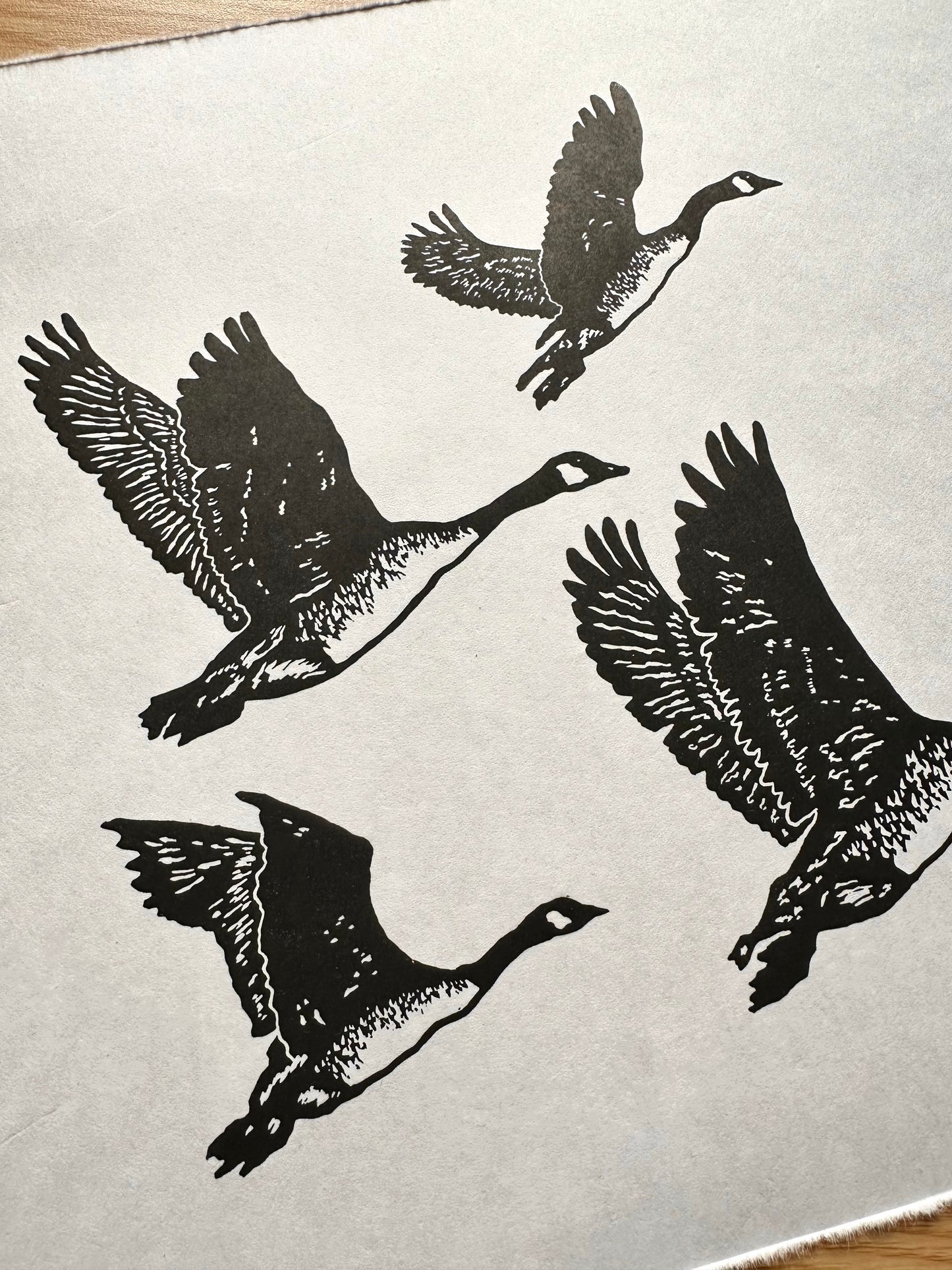 'Fly Away Home' limited edition linocut print