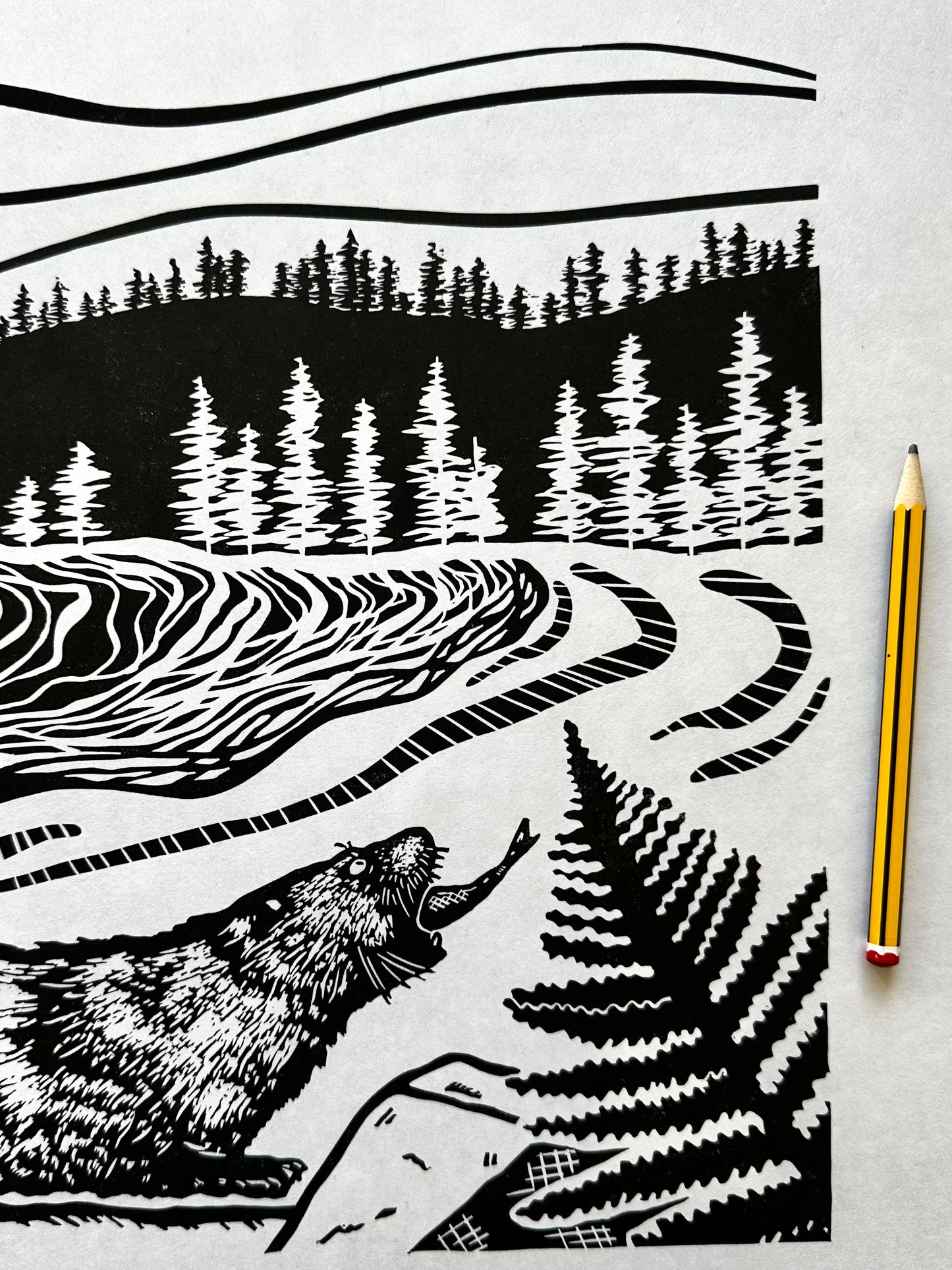 'Vancouver Island' limited edition linocut print
