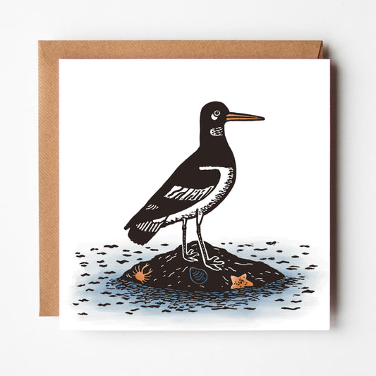 'Oystercatcher' Greeting Card on Recycled paper